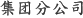 集团分公司