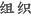 组织