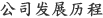 公司发展历程