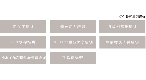 各种培训课程 新员工培训 工作热情与管理培训 Pegasus 培训班 培育领导作用培训 岗位干部培训 CPU（公司、Palazzo、大学）培训 各级别营销培训 Palazzo 干部培训 考核者培训
