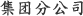 集团分公司